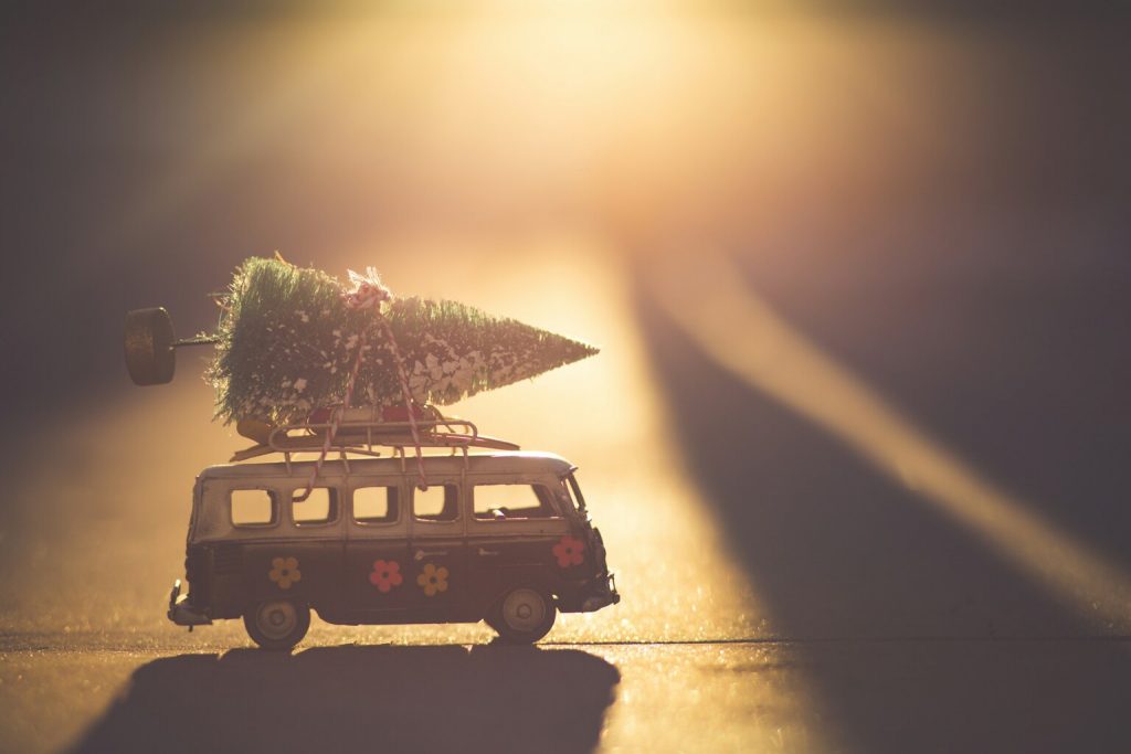 White and black bus with green pine tree scale model.